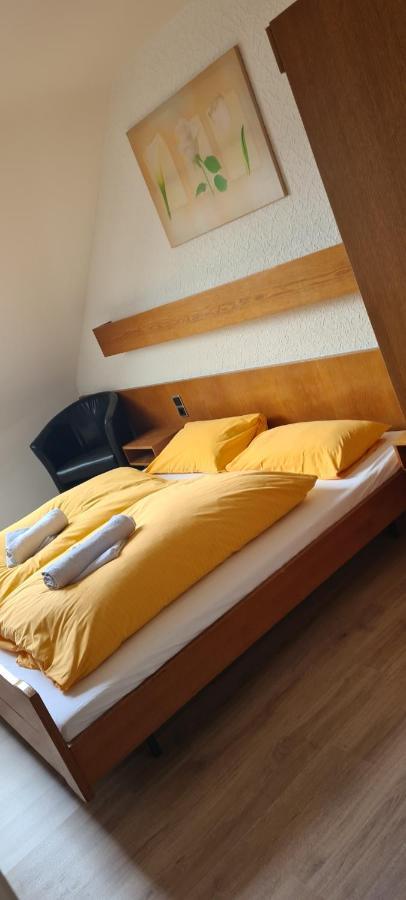 Zur Aue Hotel 3*